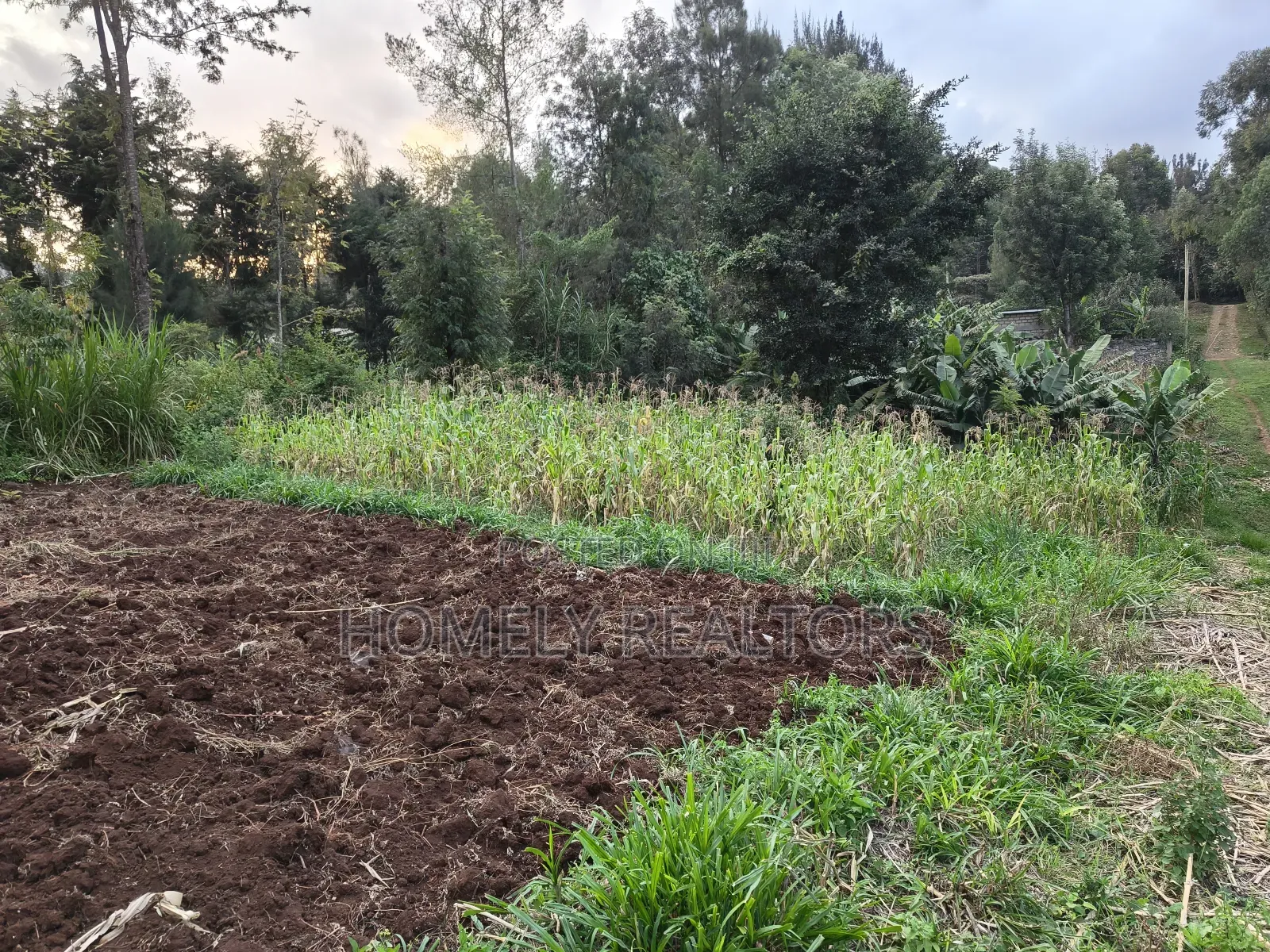Eighth Acre Plot in Ngong, Along Kahara Road. Red Soil
