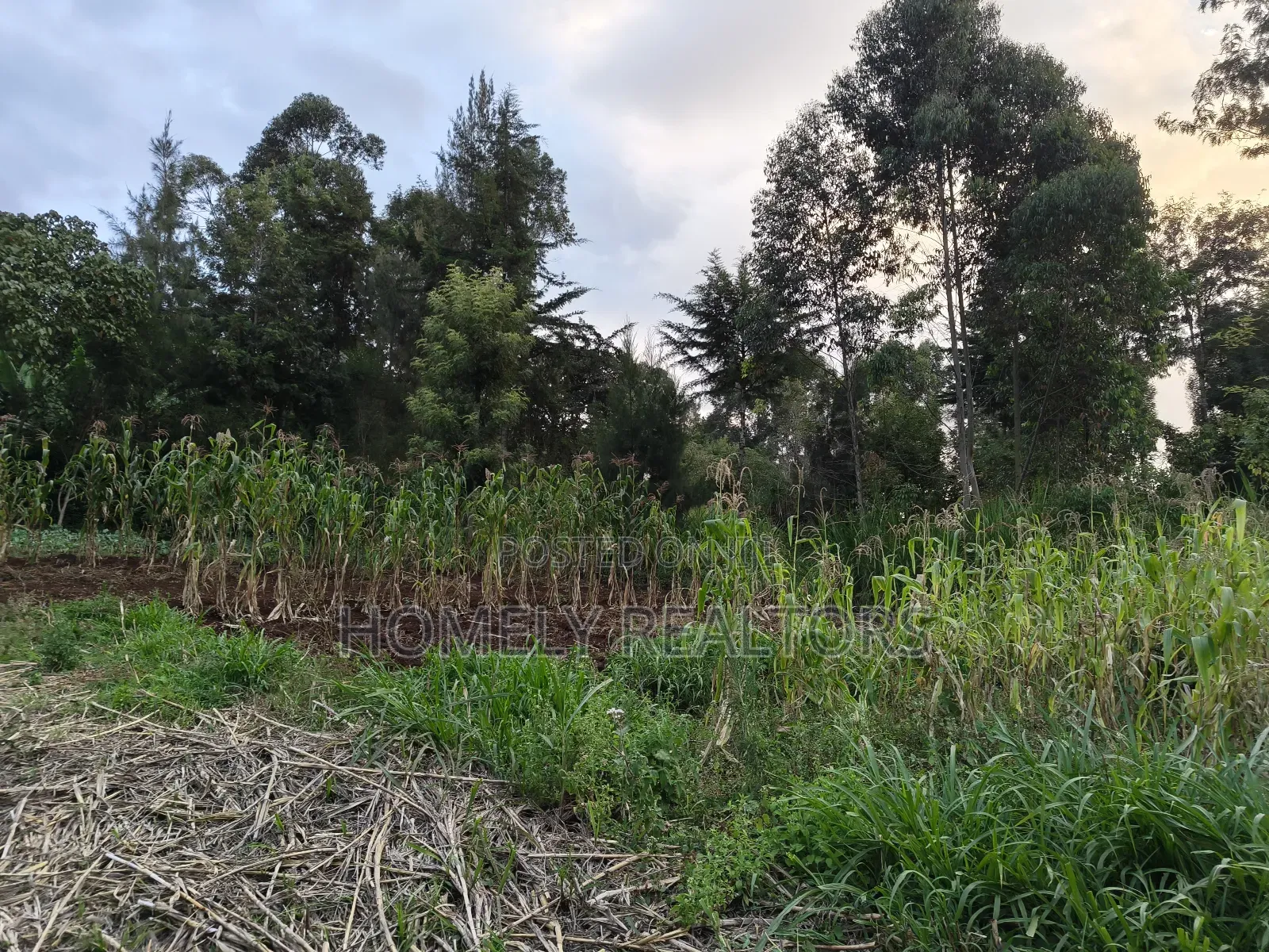 Eighth Acre Plot in Ngong, Along Kahara Road. Red Soil