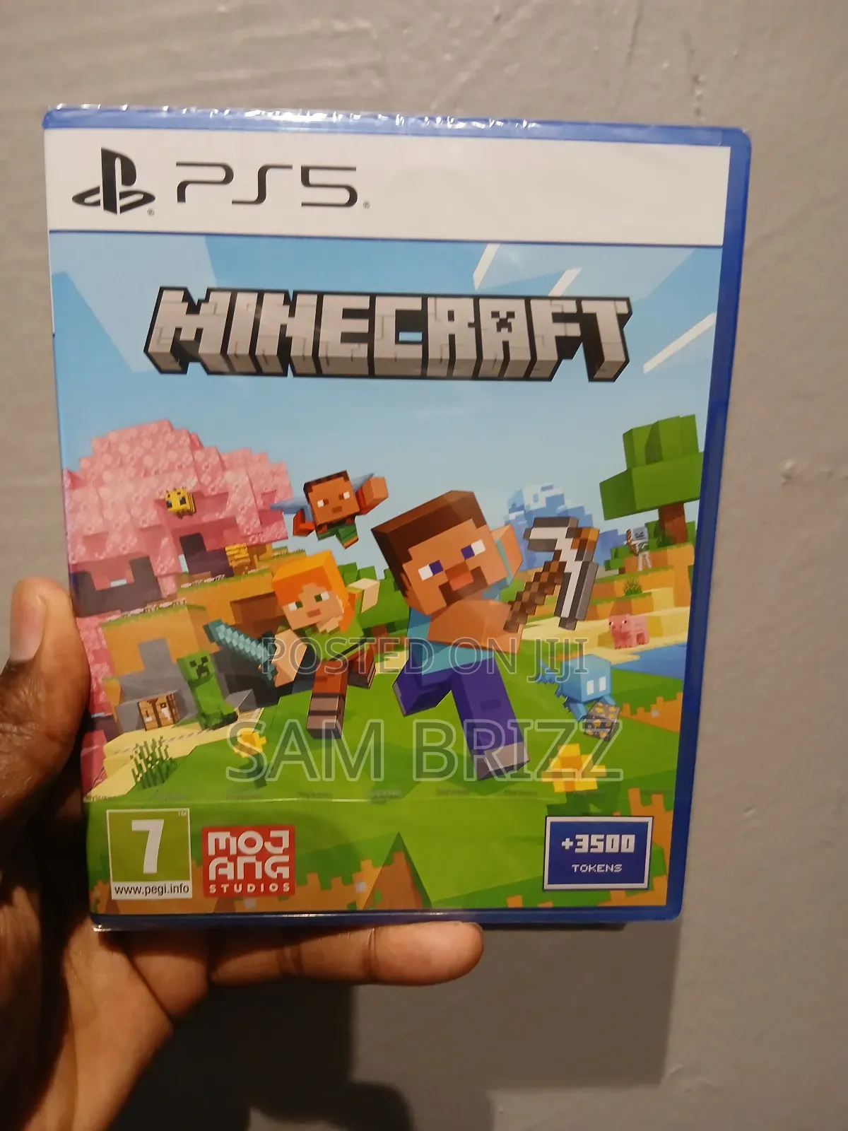 Minecraft Ps5