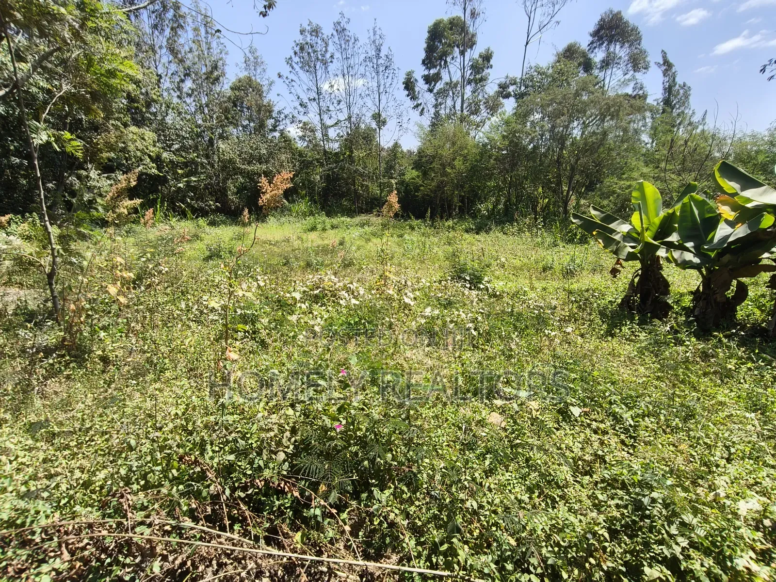Half Acre Plot in Ngong Olkeri With 2-BDRM House Near Tarmac