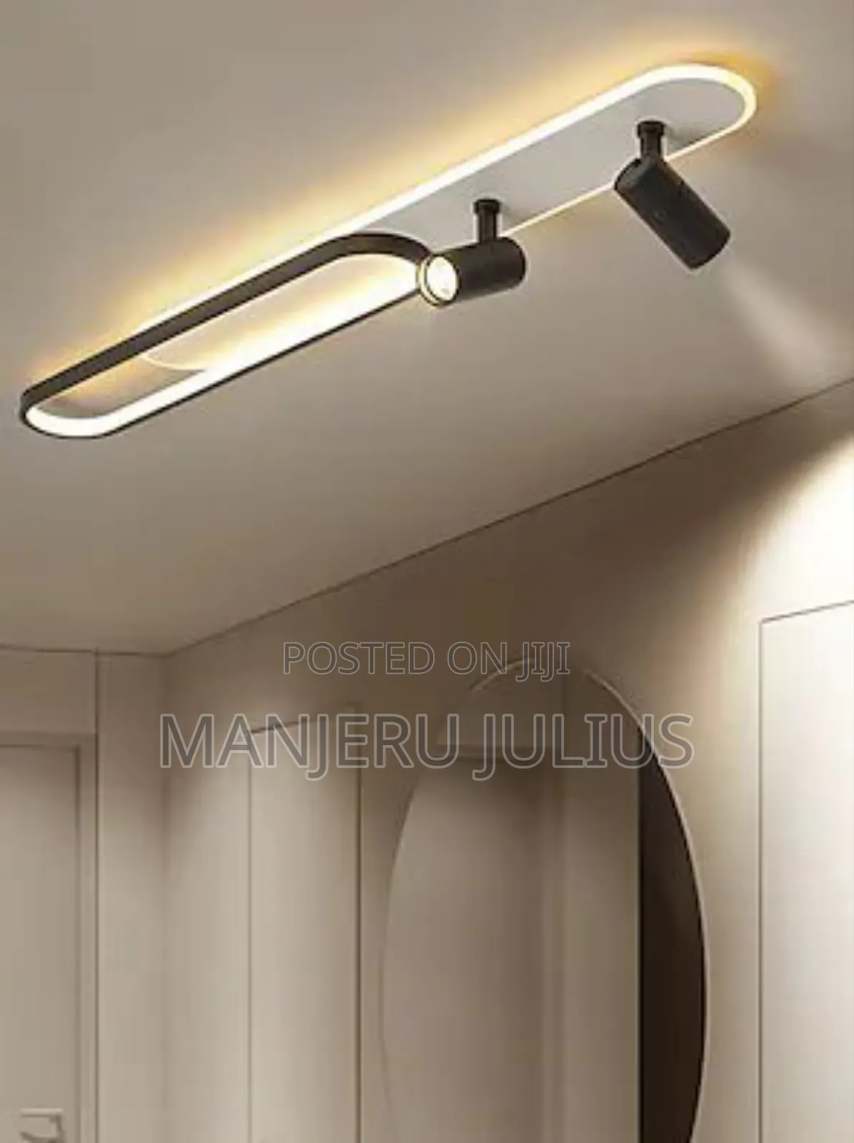 Ceiling Light With Spotlight