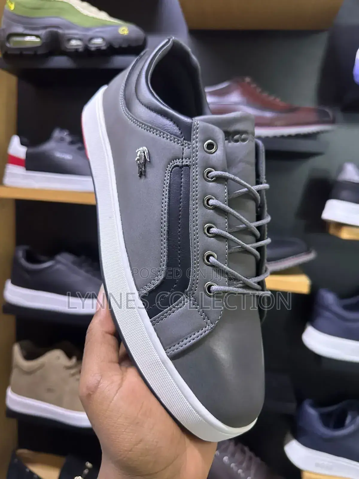 Gray Leather Casual Shoes Men Lacoste Sizes40-45( Boxed)
