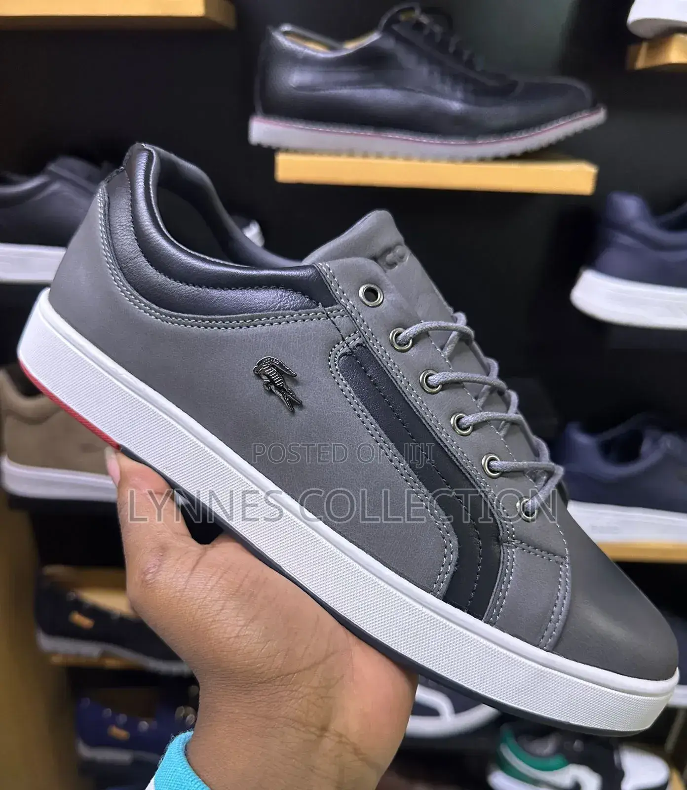 Gray Leather Casual Shoes Men Lacoste Sizes40-45( Boxed)