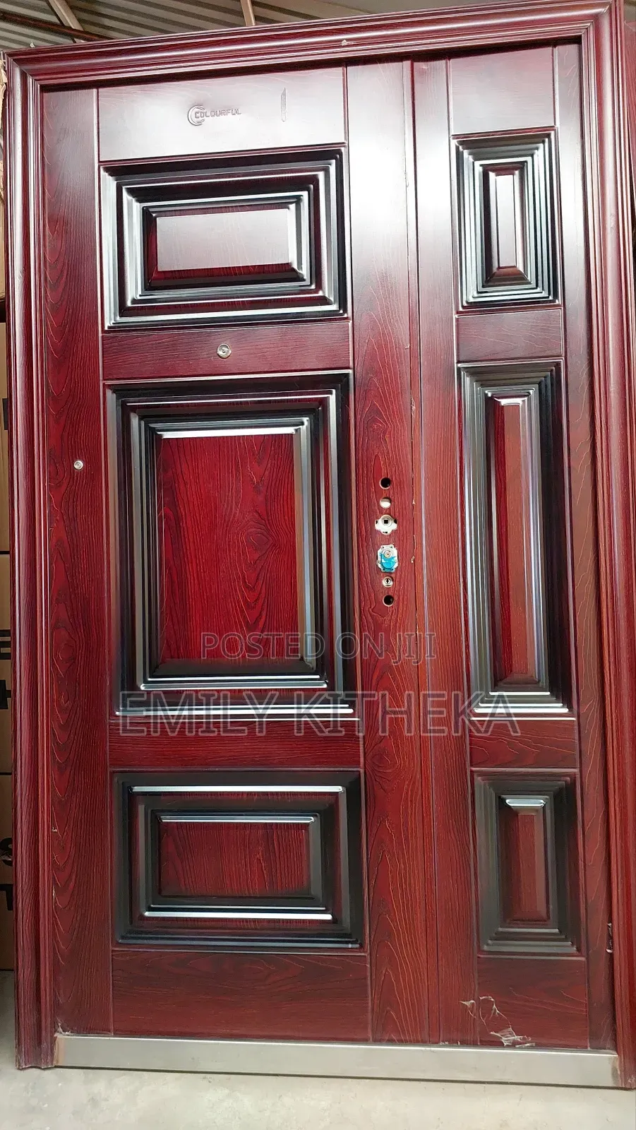 Imported High Quality Steel Door
