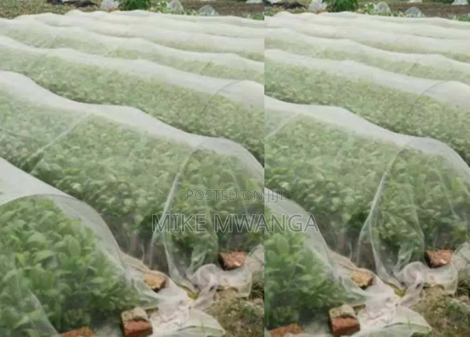 High Quality/Density Isect Net Shade
