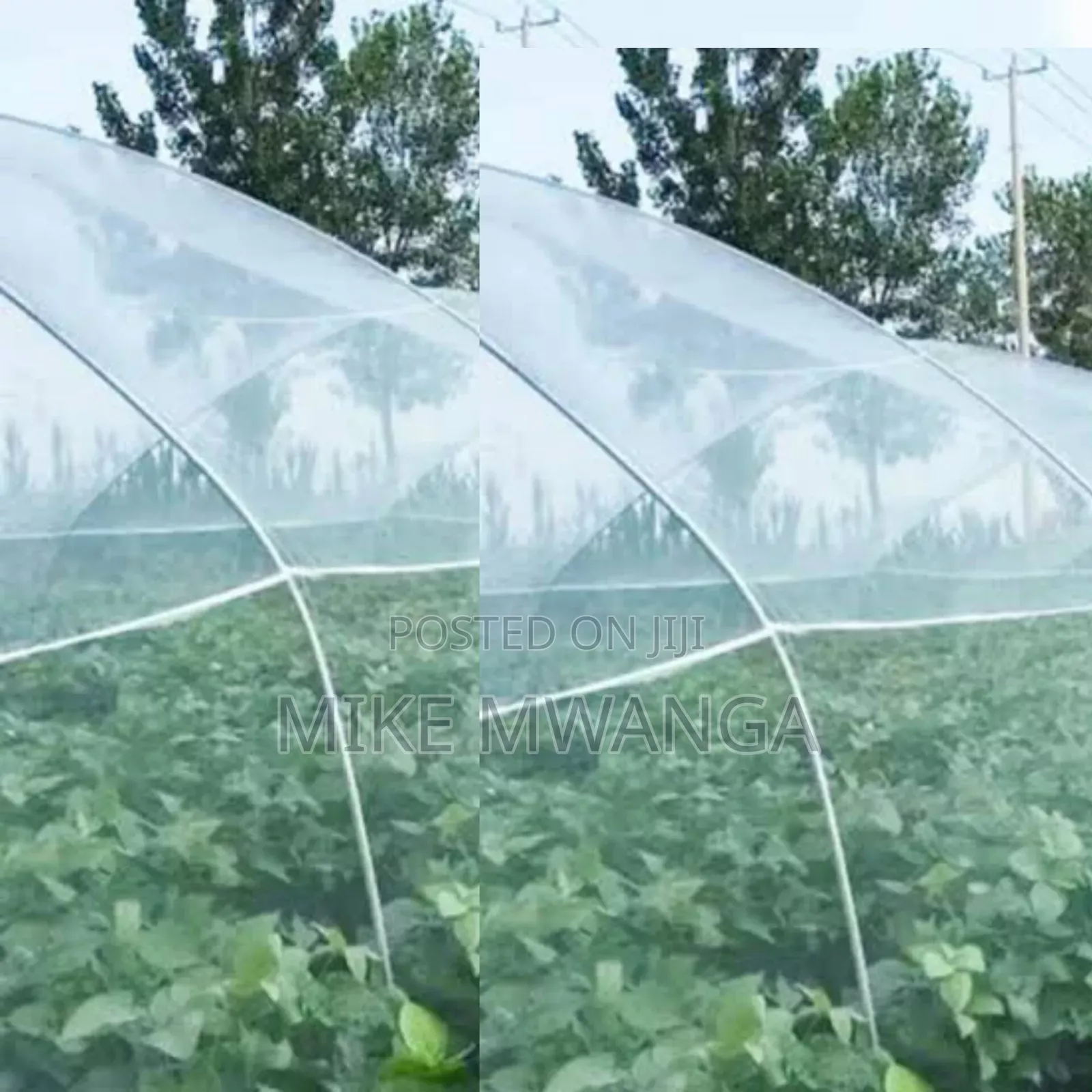 Safe Guarding Insect Nets