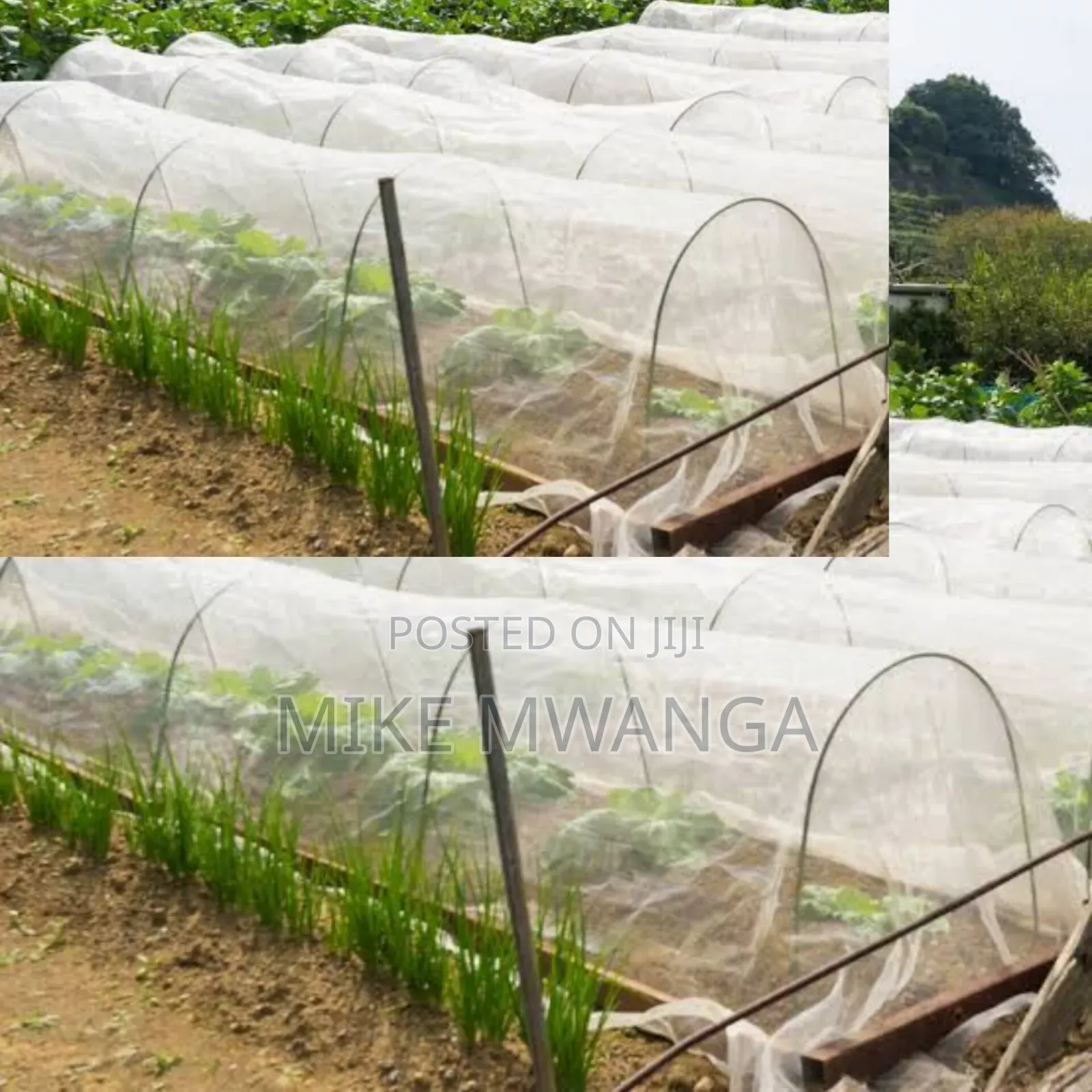 Nurseries Insect Nets 2.5m by 50m