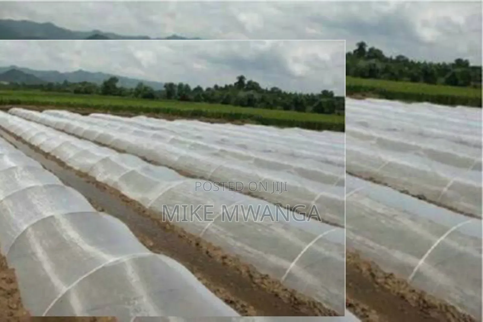 Nurseries Insect Nets 2.5m by 50m