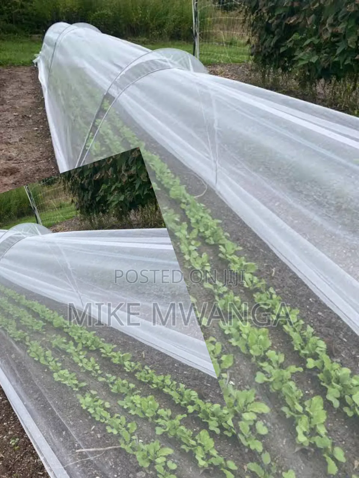 Nurseries Insect Nets 2.5m by 50m