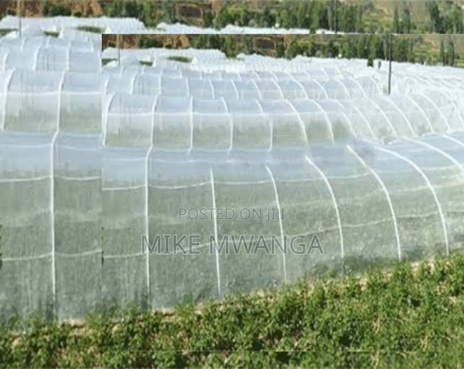 Nurseries Insect Nets 2.5m by 50m