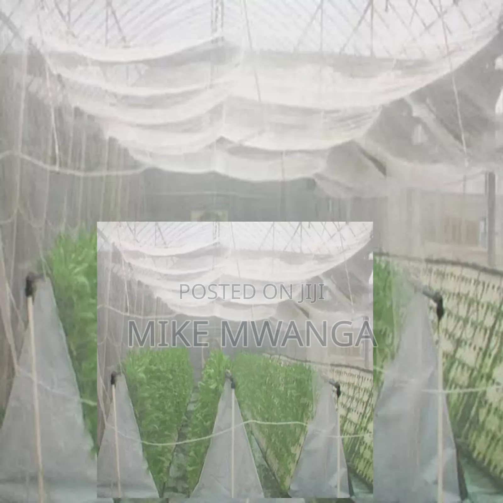 Nurseries Insect Nets 2.5m by 50m