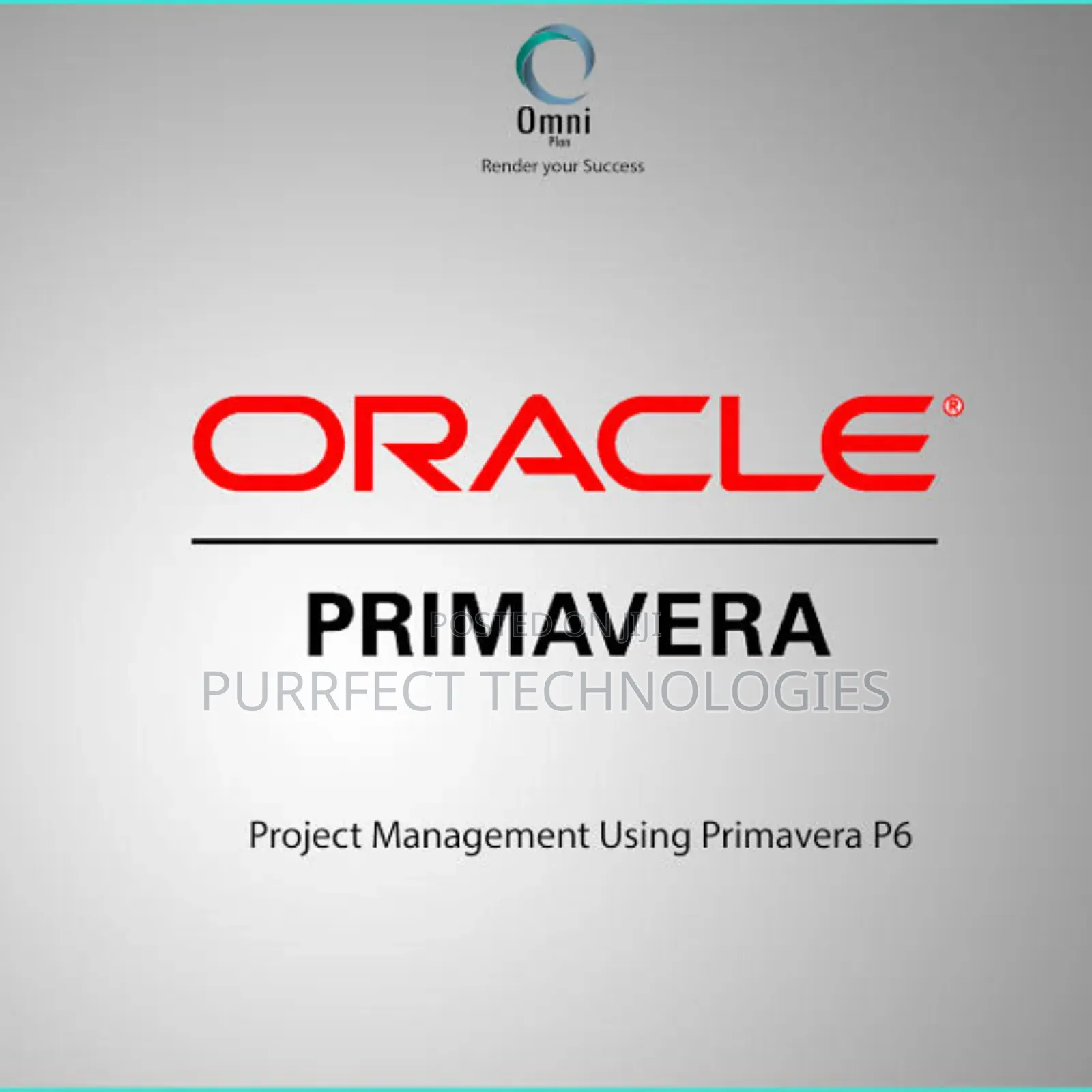 Primavera P6 Professional