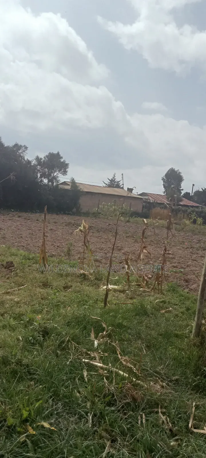 Land on Sale at Kinangop