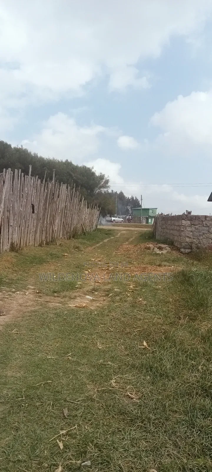 Land on Sale at Kinangop