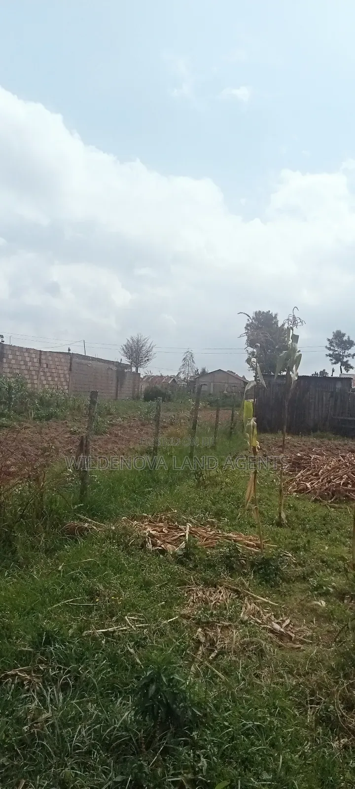 Land on Sale at Kinangop