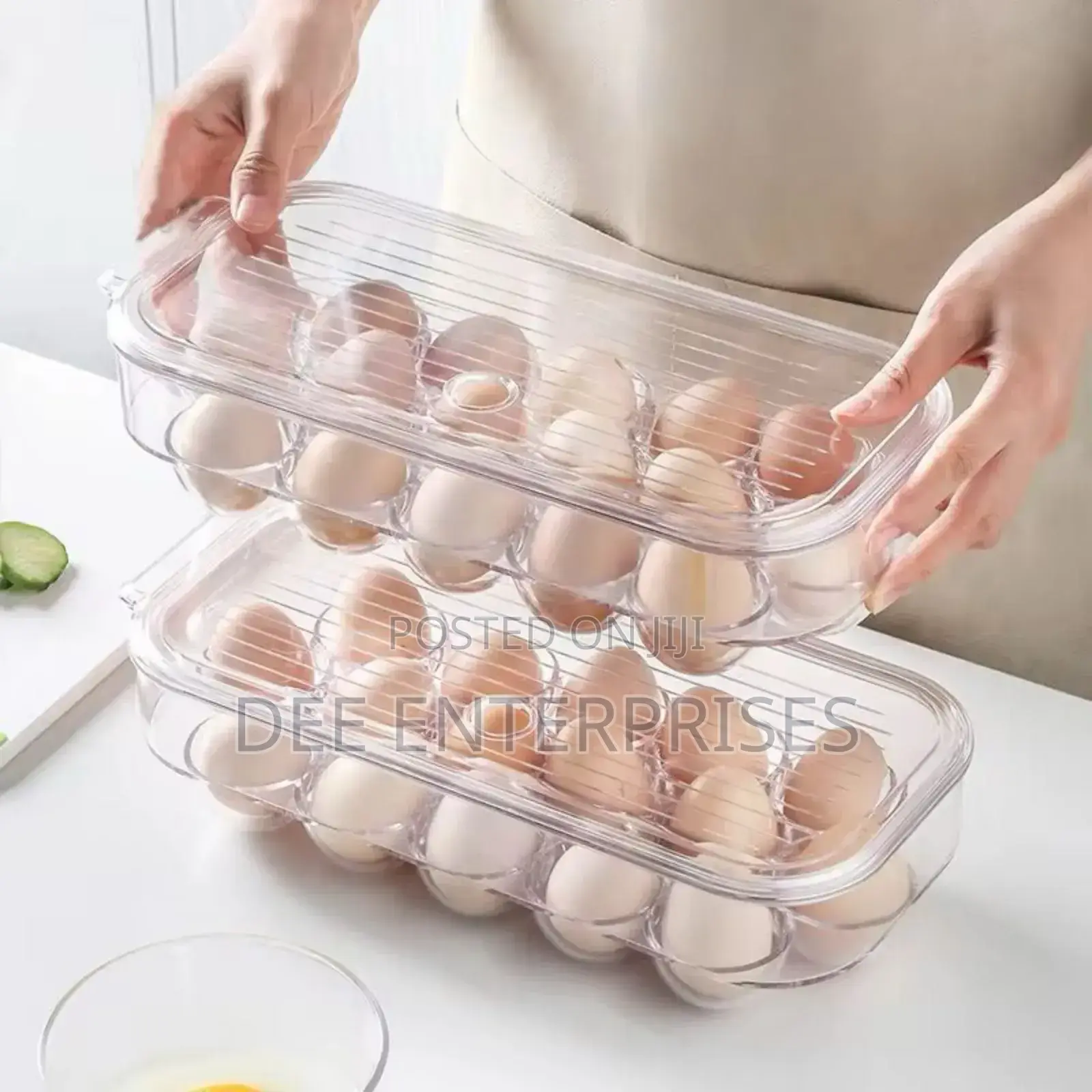 16 Grid Egg Holder With Handle Lid