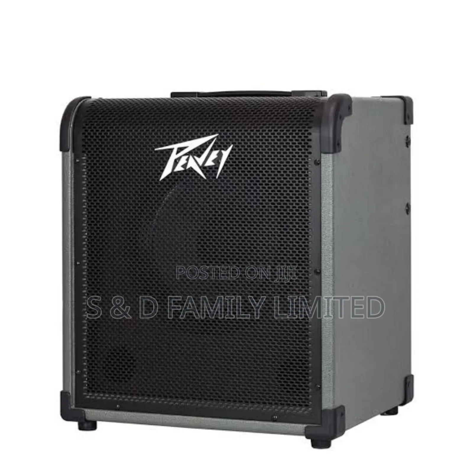 Peavey Max 100 Bass Combo