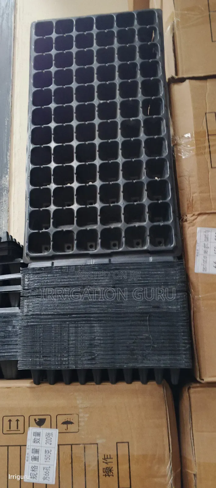 Biodegradable Tray
