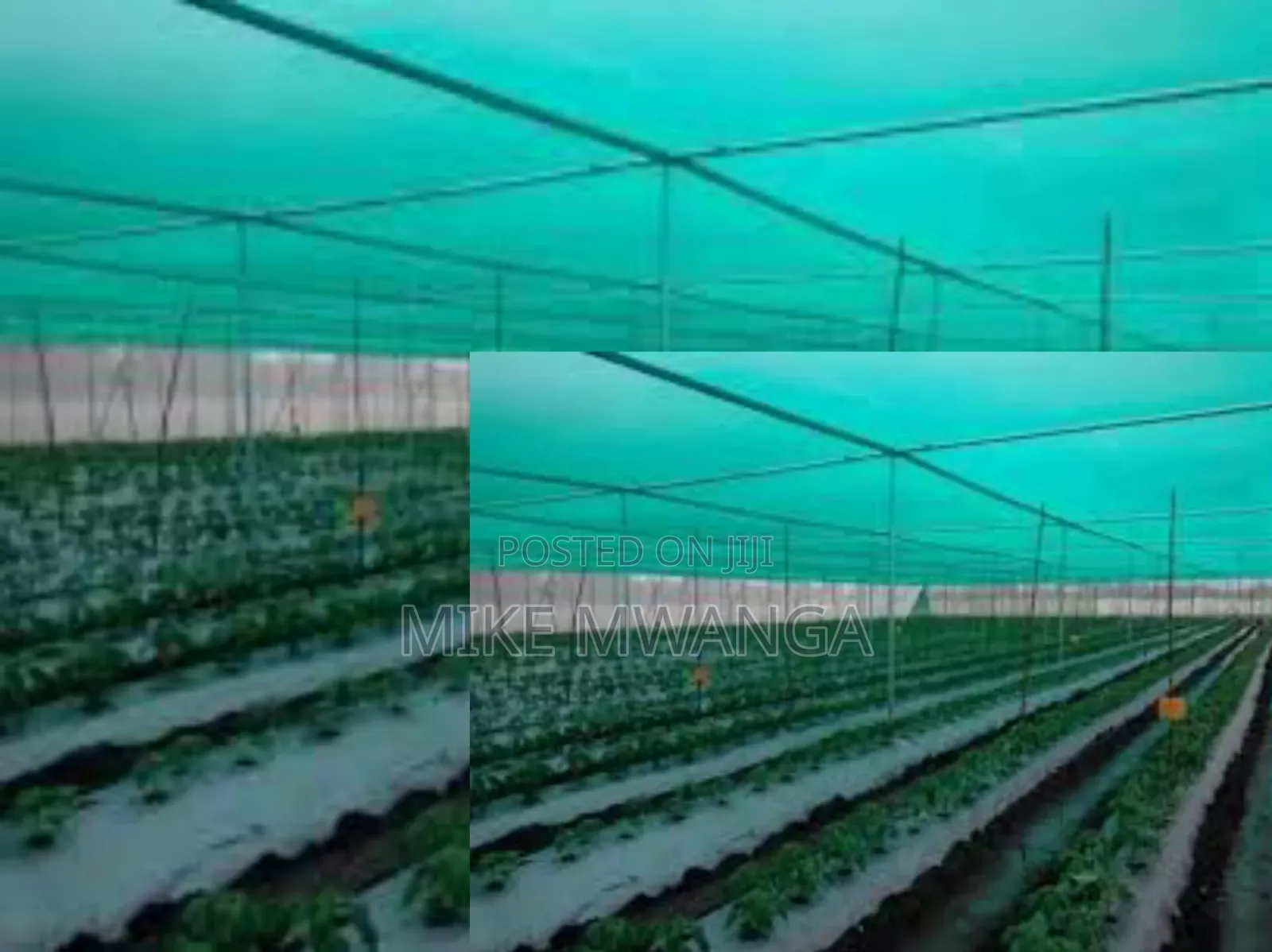 Agriculture/Cultivation Nets 4x50m