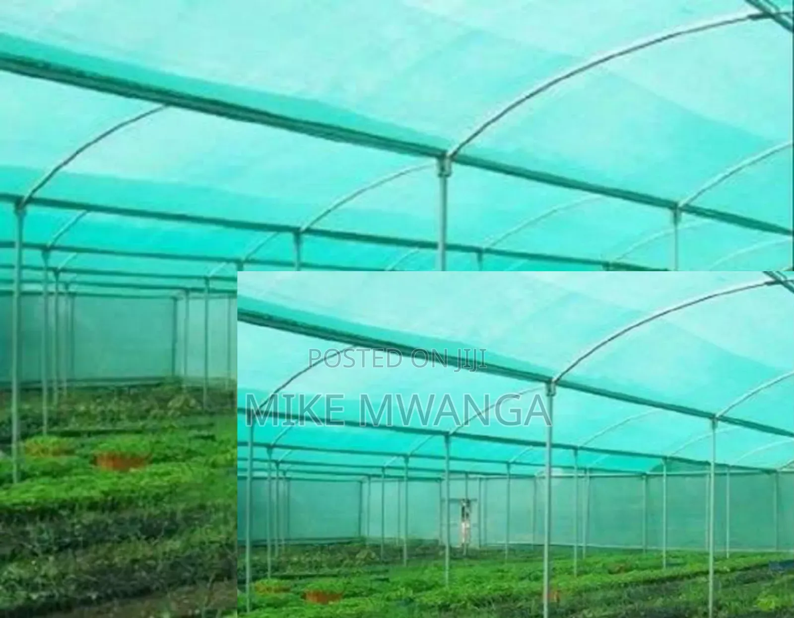 Uv. Light Protection Agricultural Net