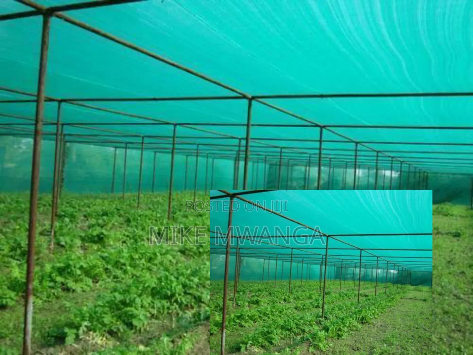 Nylon Agriculture Net/ 4x50m