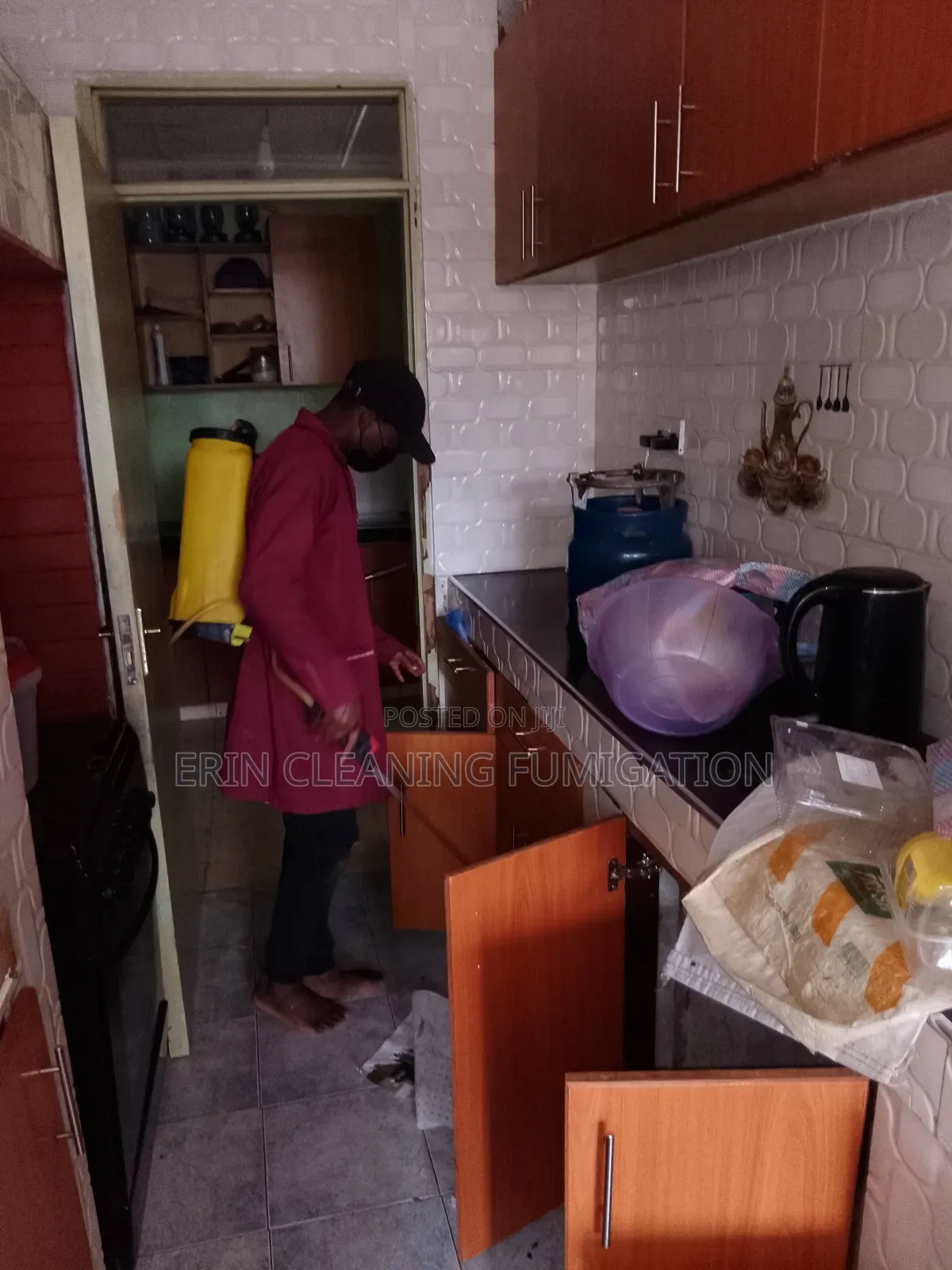 Affordable Quick and First Pest Services