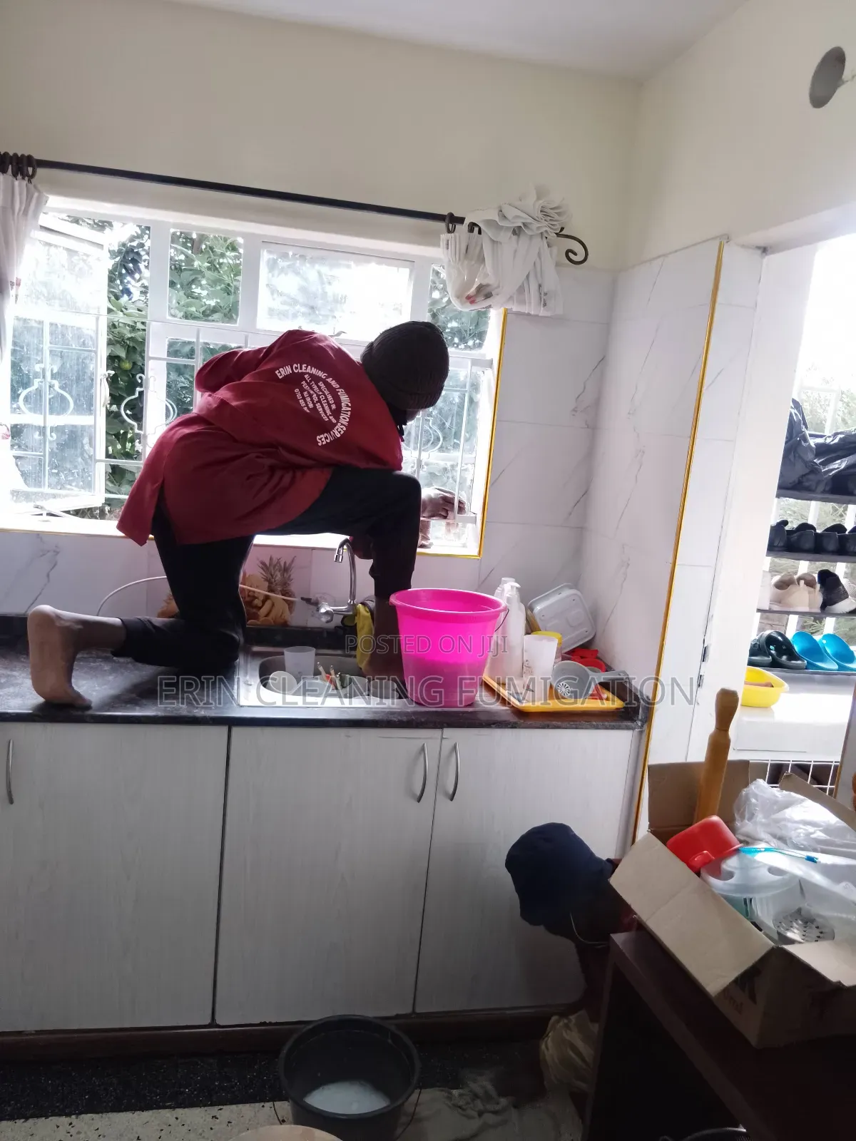 General Kitchen and House Cleaning Pest Services
