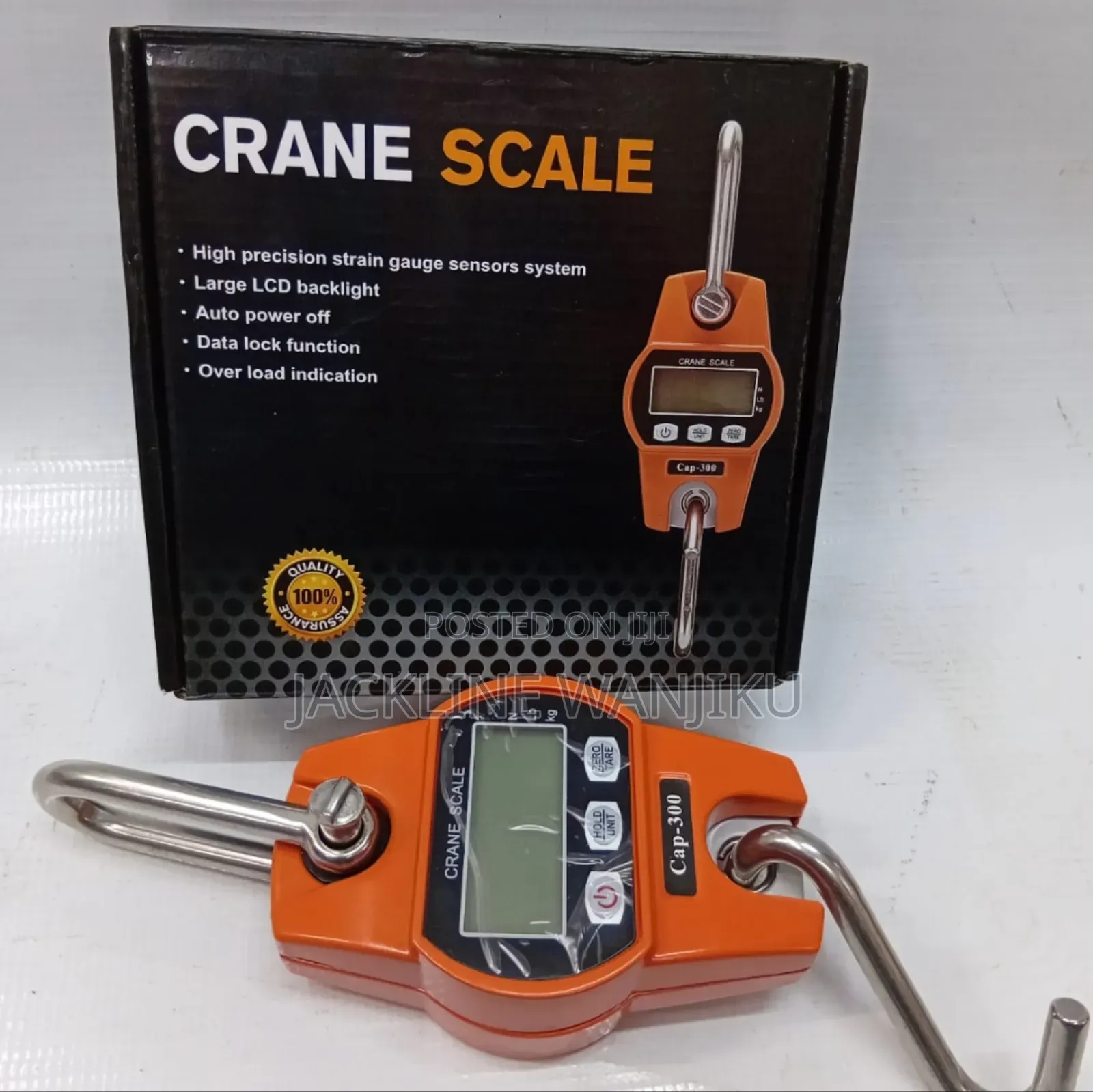 300kgs Crane Scale) Affordable Weighing Crane Scale