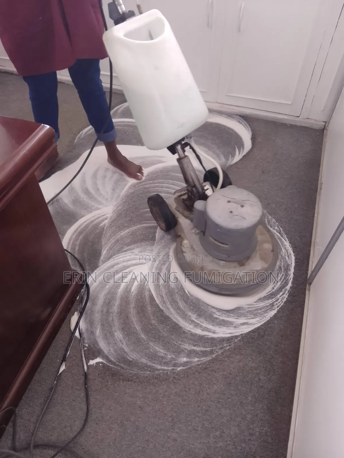 Same Day Pest and Carpet Cleaning