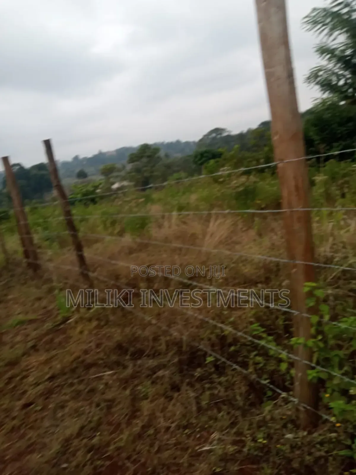 50 By100 Plots on Sale at Kenol-Riandegwa Area
