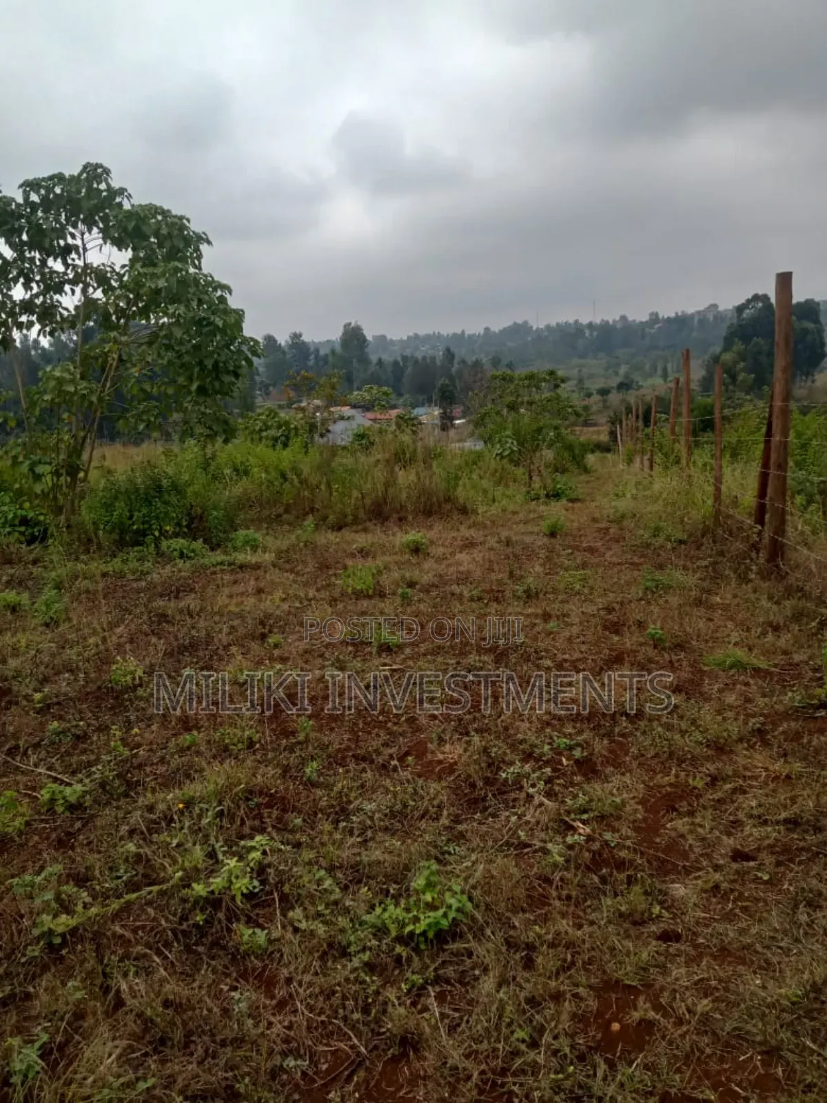 50 By100 Plots on Sale at Kenol-Riandegwa Area
