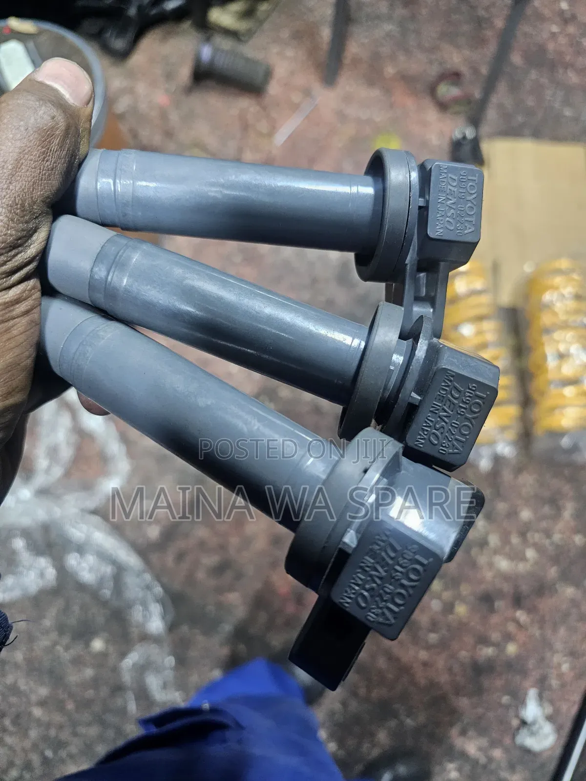 Ignation Coils Number 30