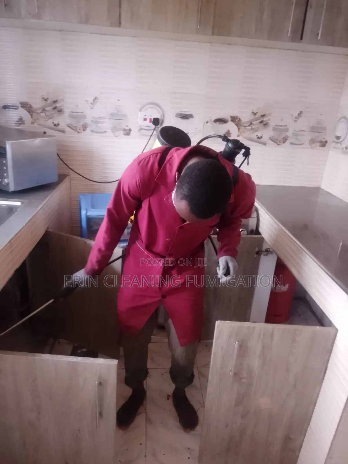 Professional Carpet Cleaning Cockroaches, Bedbugs Services