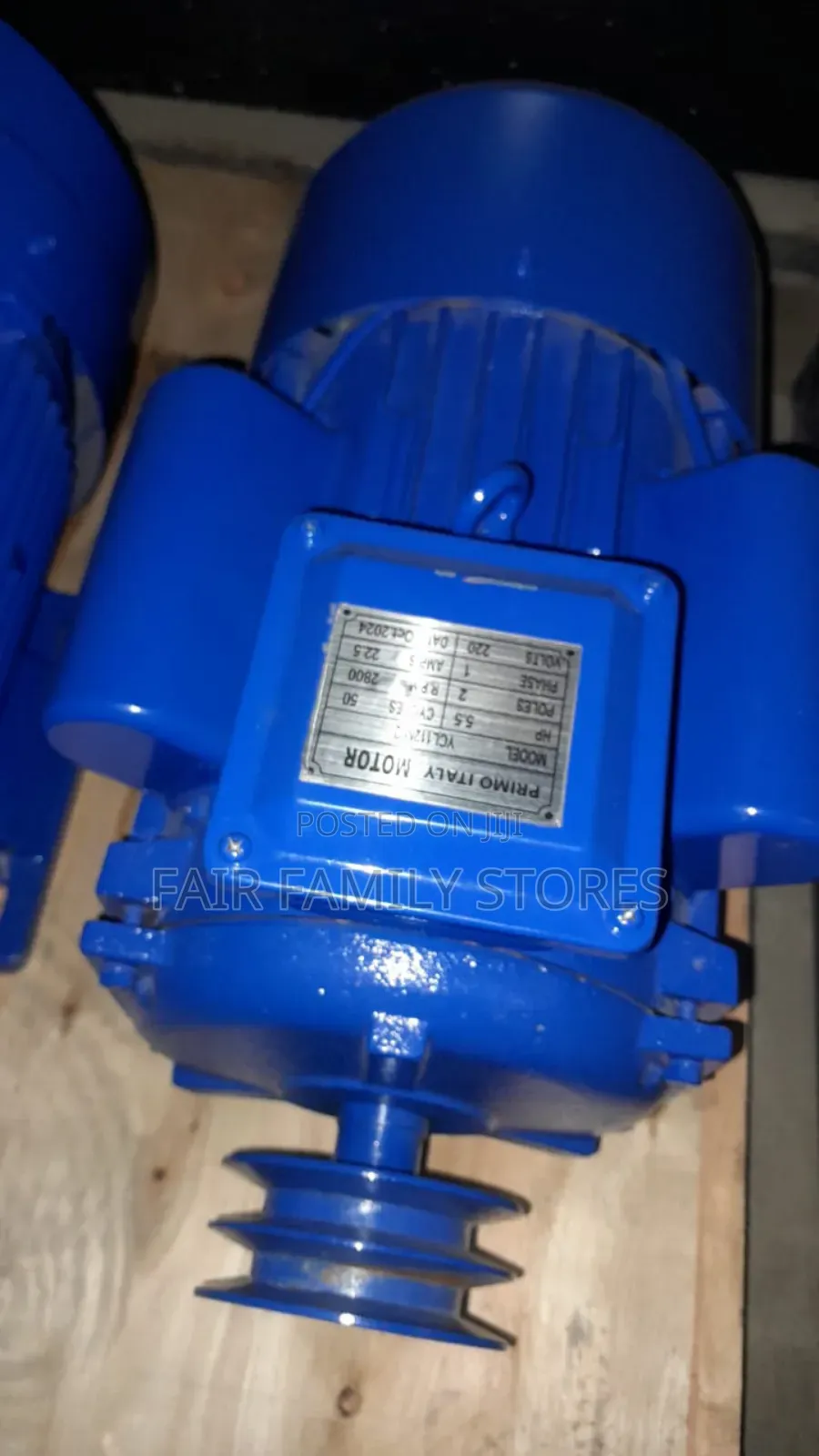 Primo Italy Electric Motor