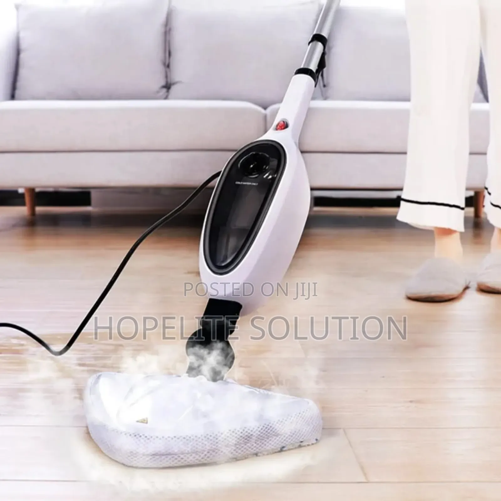 Steam Cleaner