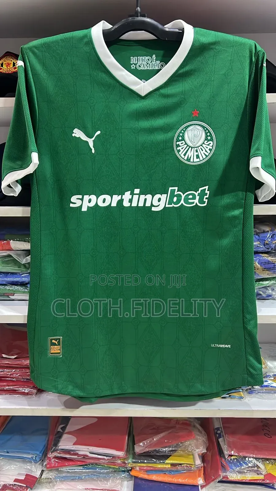 Palmeiras Home Jersey 24/25