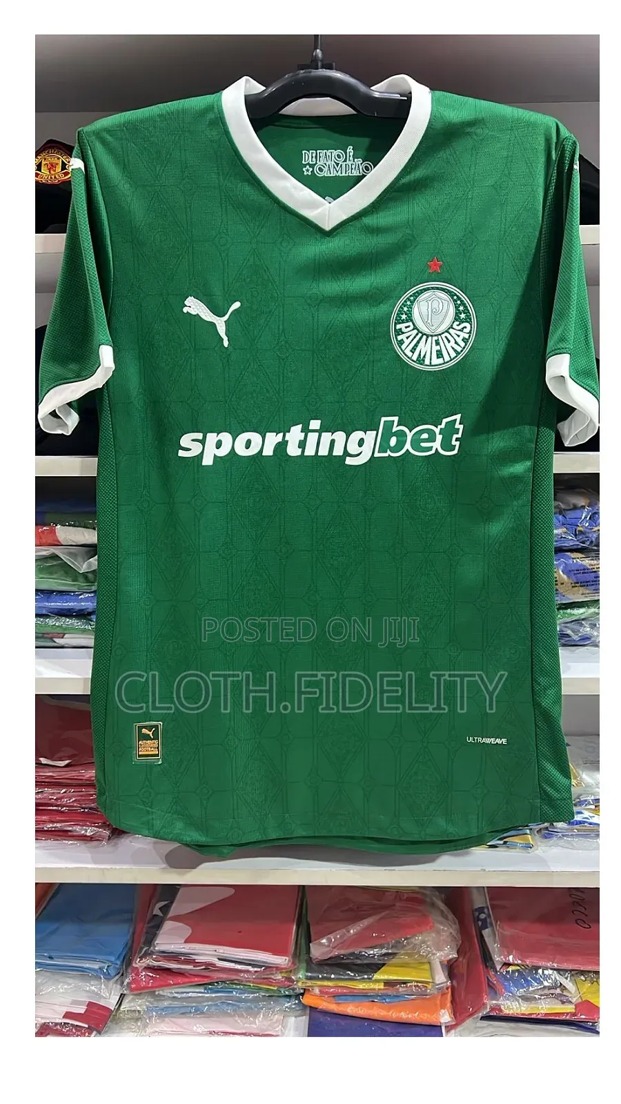Palmeiras Home Jersey 24/25