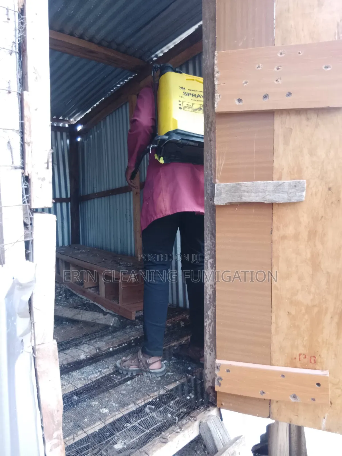 Cheap Bedbugs Fumigation