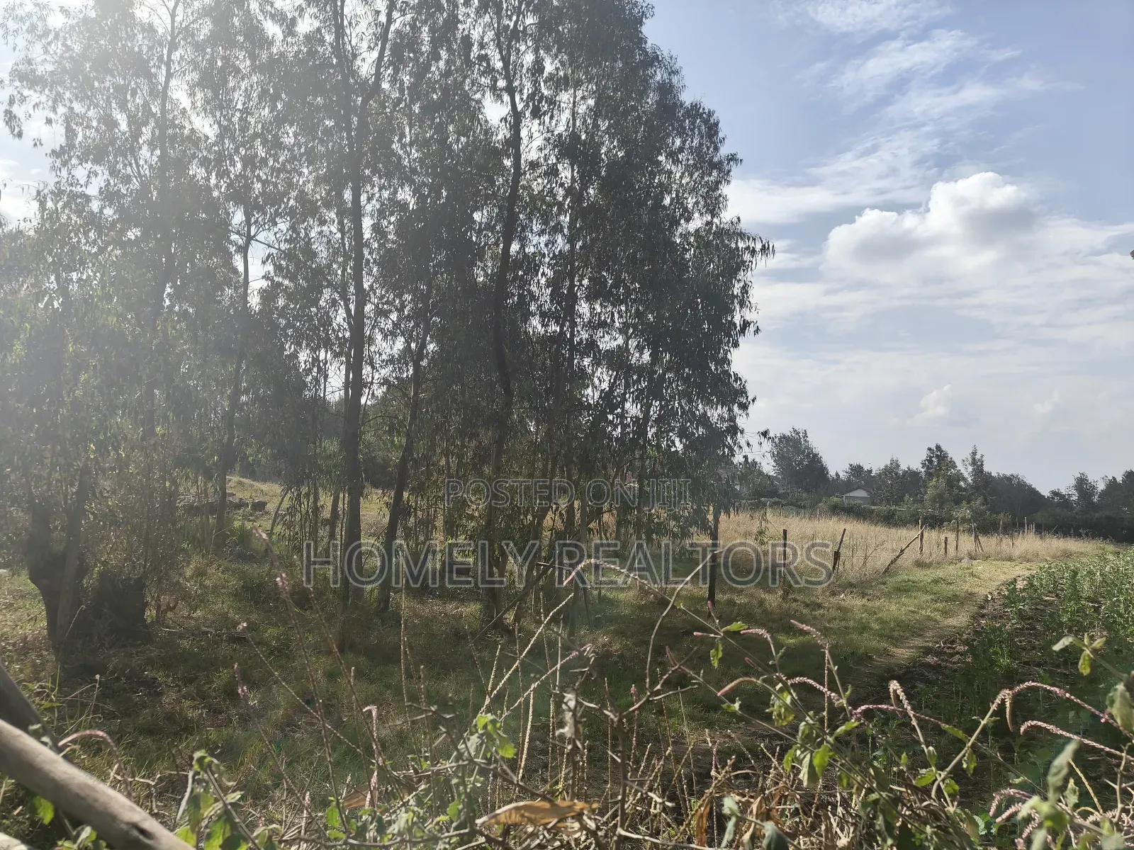 One Acre Piece of Land for Sale in Karen, Nairobi