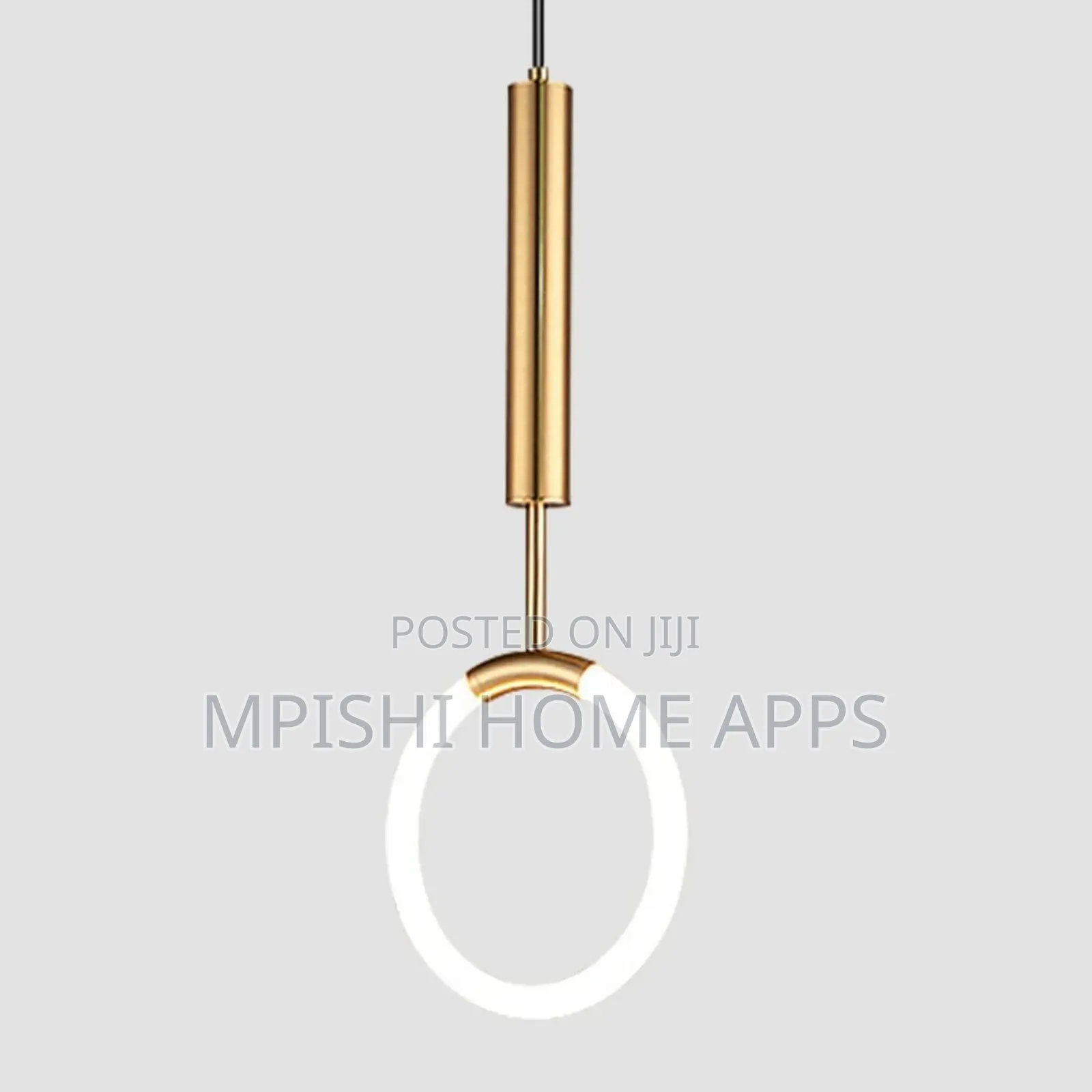 Circle Ring Pendant Light