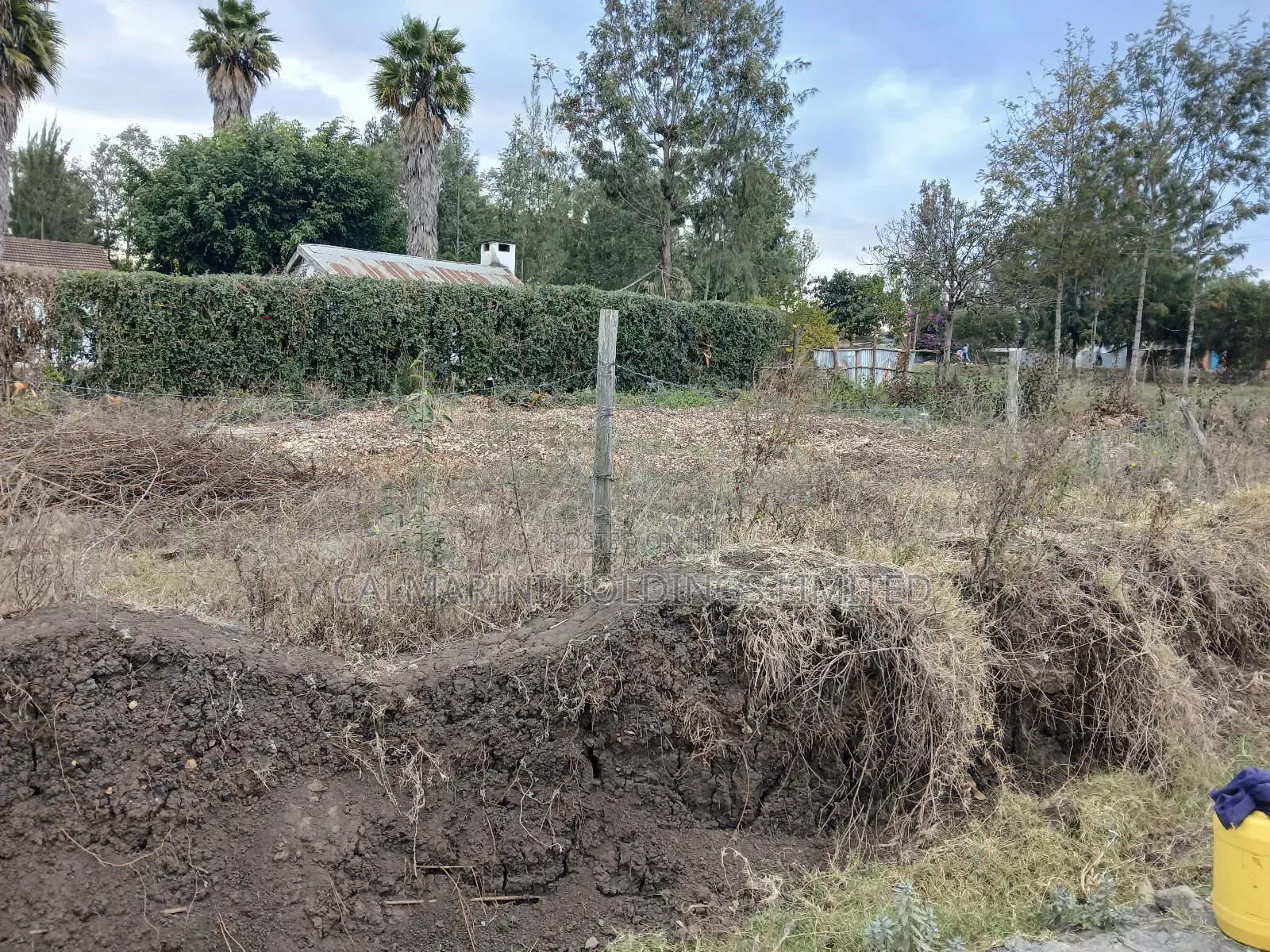 Prime Eighth Acre Plot 50 Metres Off Tarmac in Matasia