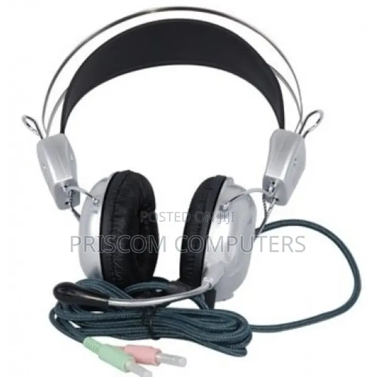Headphones With Microphone, Headset With Mic