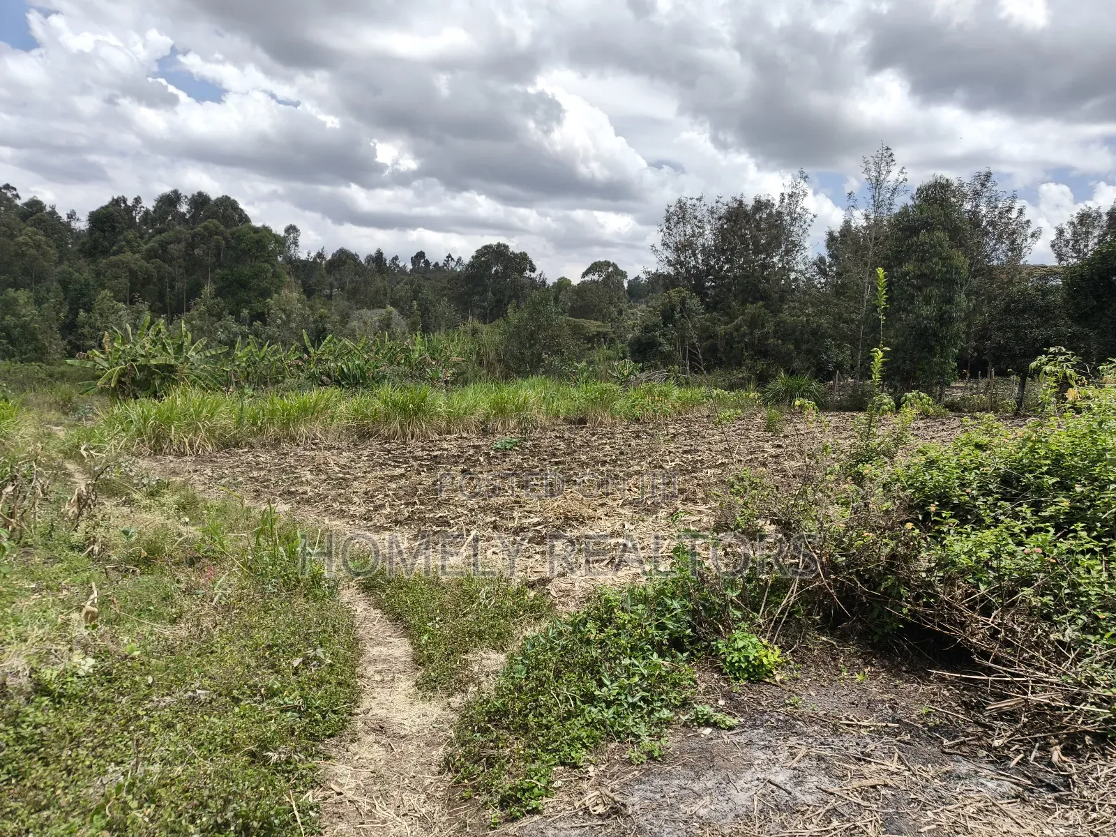 Residential Quarter Acre Corner Plot in Ngong, Ol Keri for Sale.
