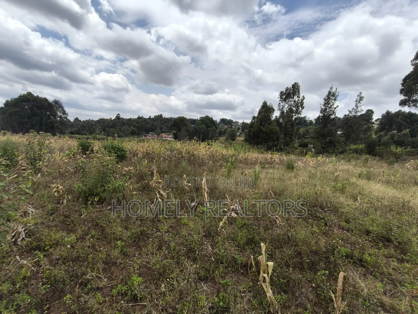 Residential Eighth Acre Plot in Ngong Along Maragara Road for Sale.