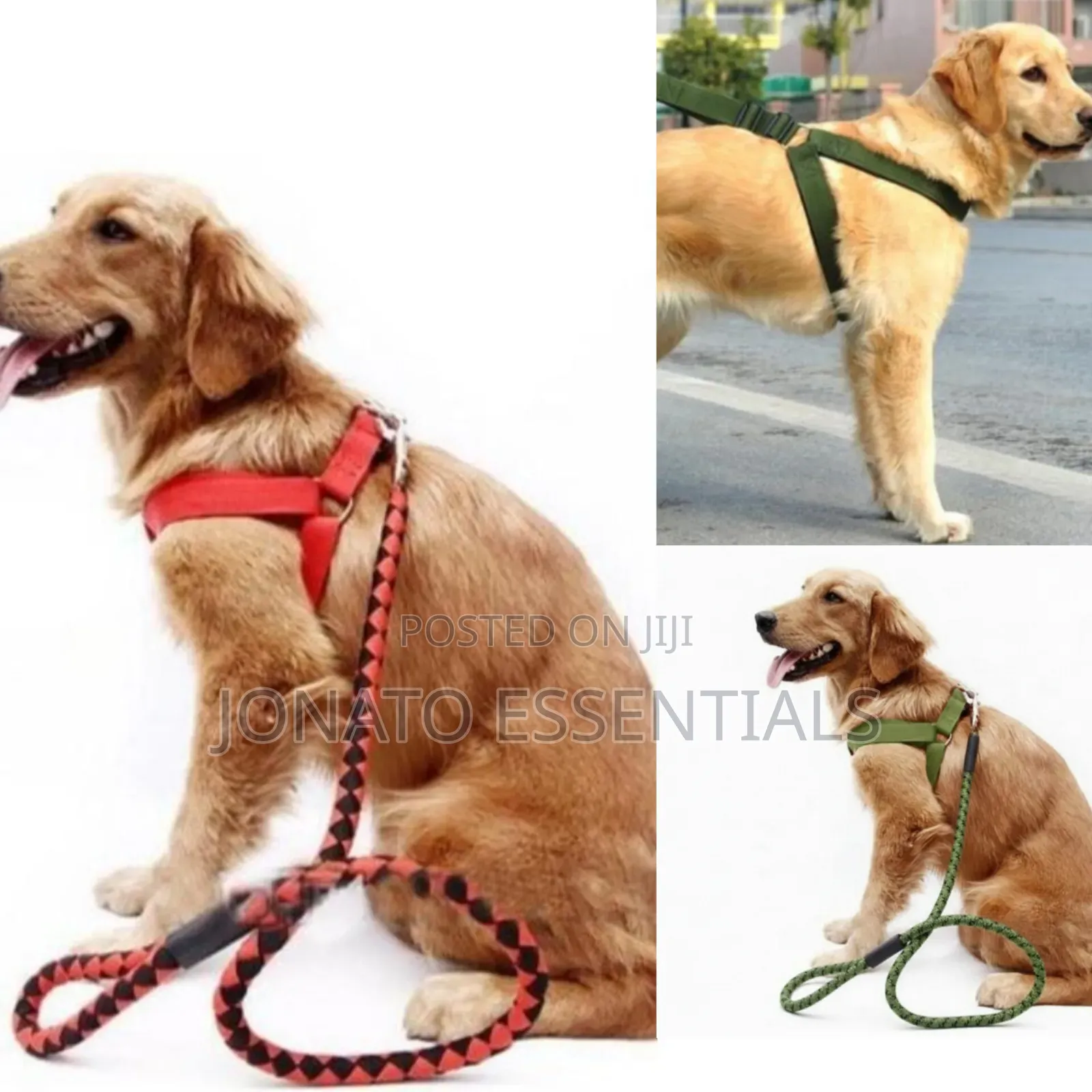 Adjustable Dog Harness Leash Set for Small and Medium Dogs