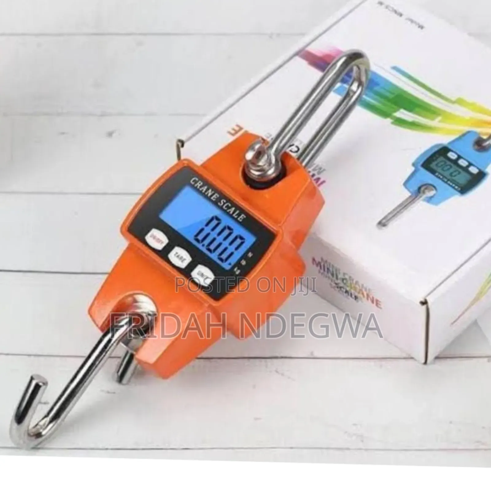 300kgs Mini Crane Scale