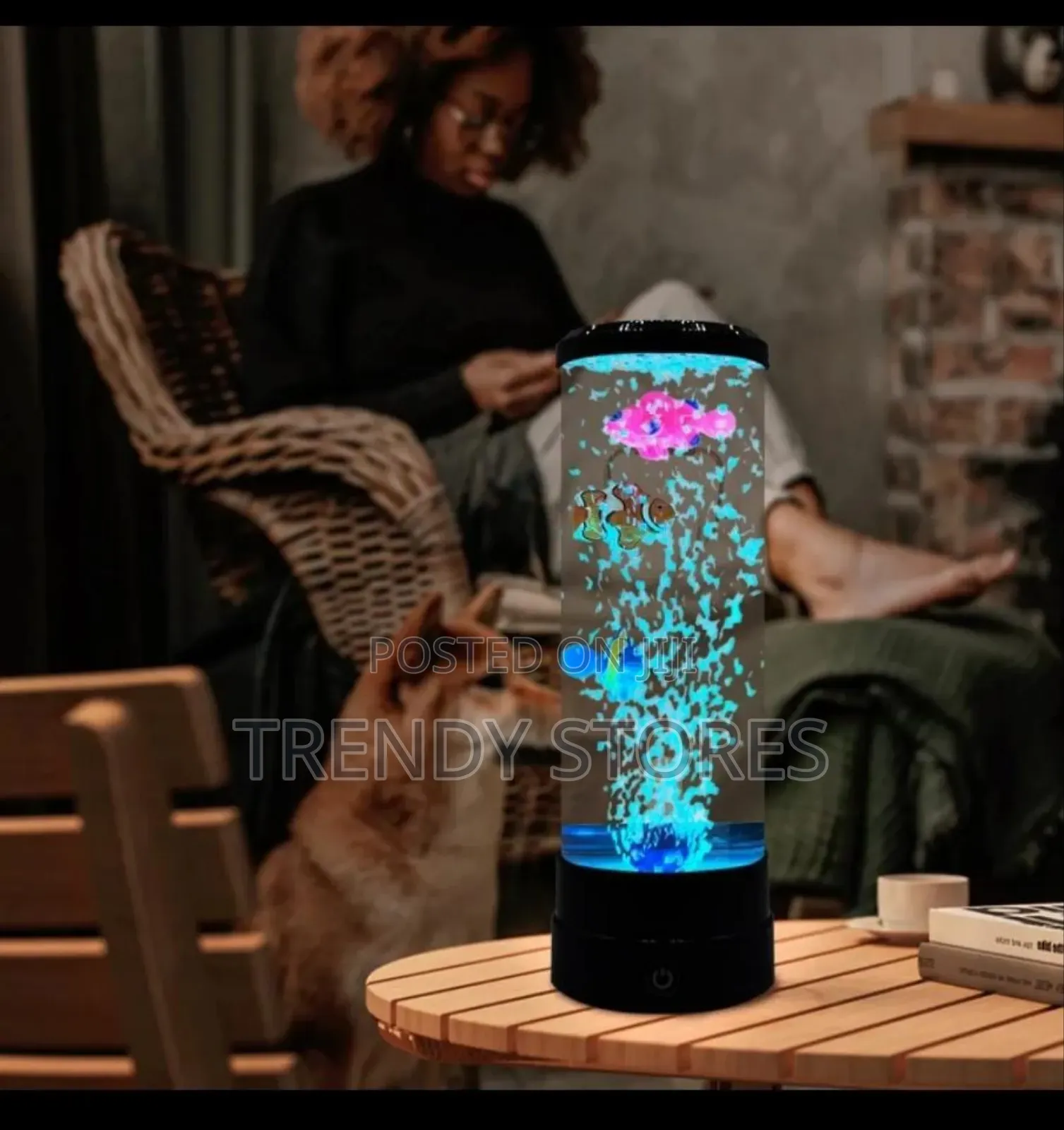 Led Fish Lamp