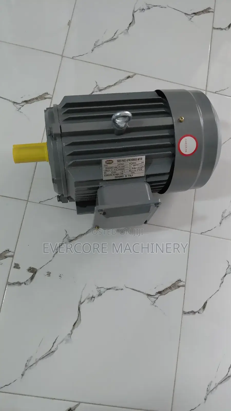 5.5hp Eletric Three Phase Motor STCL Italy