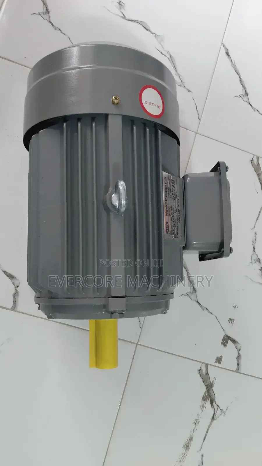 5.5hp Eletric Three Phase Motor STCL Italy