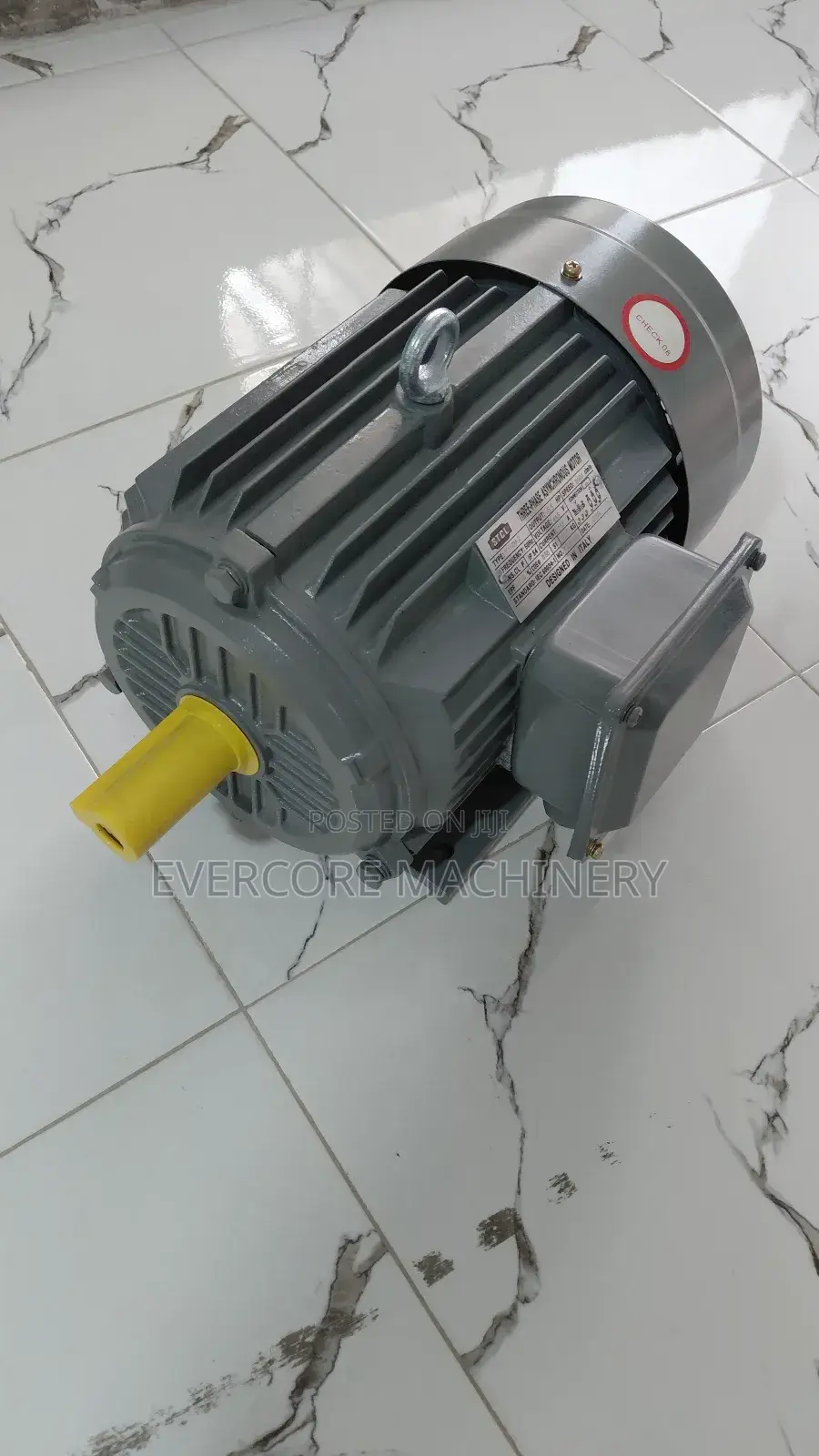 5.5hp Eletric Three Phase Motor STCL Italy